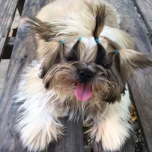 Meet your Posher, Jona